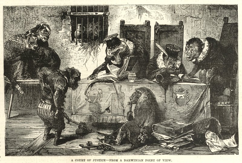 Ein Gerichtshof aus darwinistischer Sicht von English School