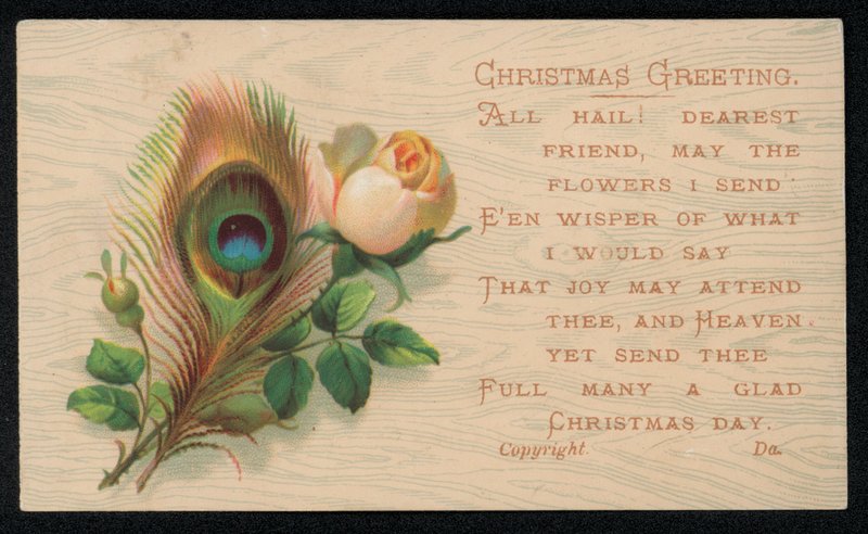 Pfauenfeder und eine Rose, Weihnachtsgrußkarte von English School
