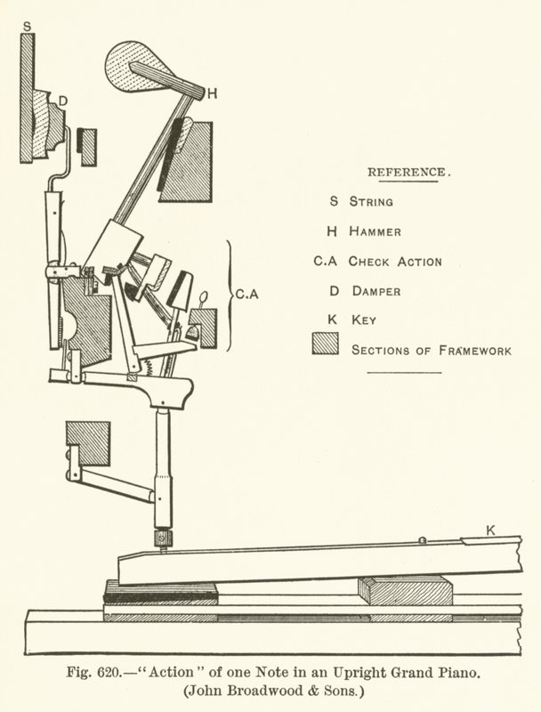Mechanismus einer Note in einem aufrechten Flügel, John Broadwood and Sons von English School