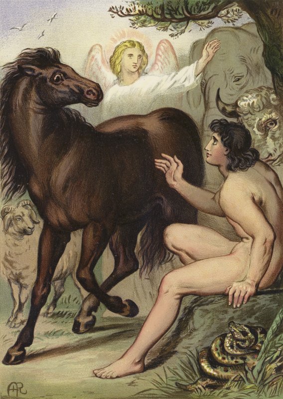 Adam benennt die Tiere von English School