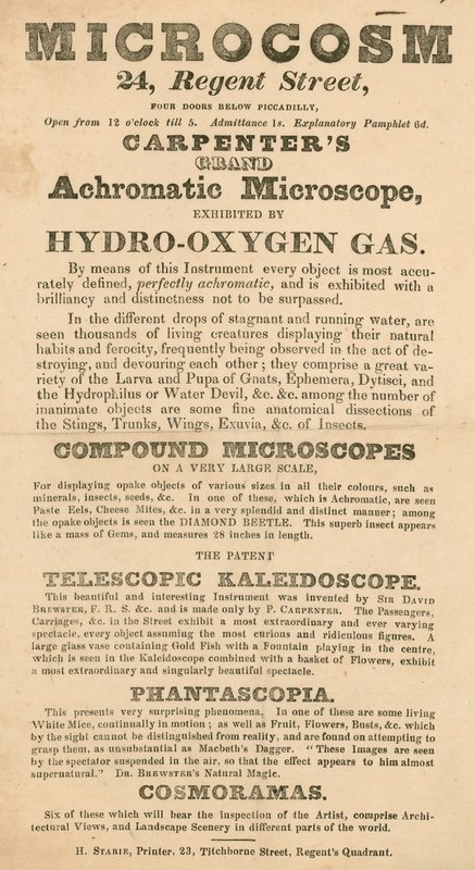 Werbung für die Microcosm-Ausstellung in der Regent Street 24, London von English School