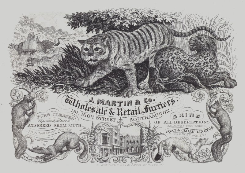 Werbung für J Martin & Co, Groß- und Einzelhändler für Pelze, Southampton, Hampshire von English School