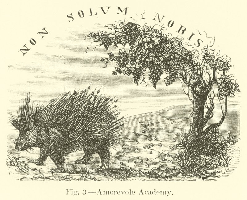 Amorevole Akademie von English School
