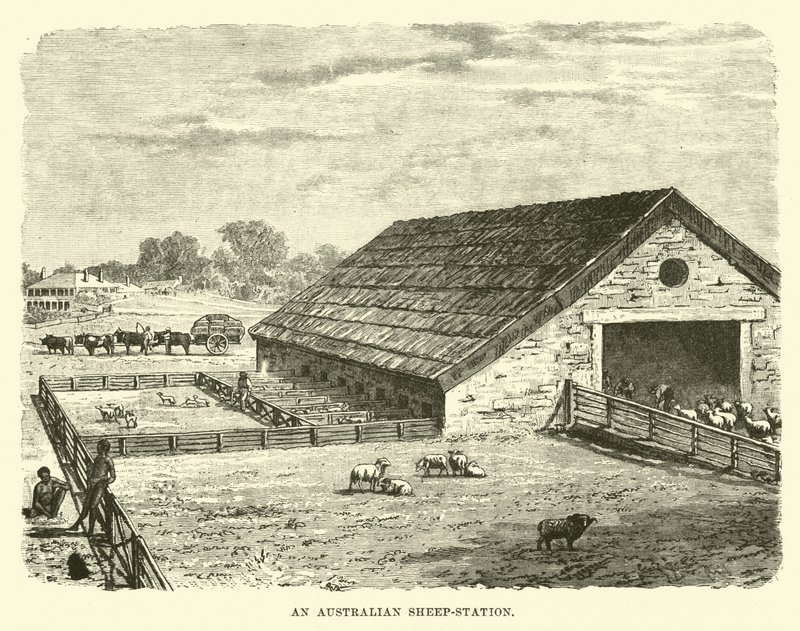 Eine australische Schafstation von English School