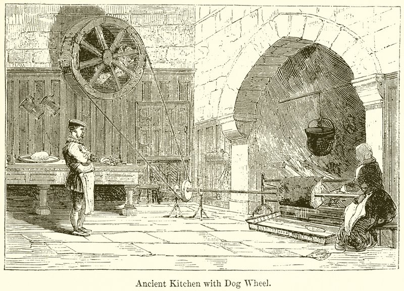 Alte Küche mit Hundewagen von English School