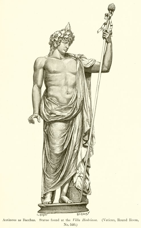 Antinous als Bacchus. Statue gefunden in der Villa Hadriana. (Vatikan, Rundsaal, Nr. 540) von English School