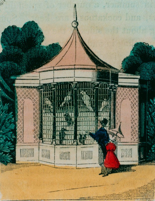 Voliere für Papageien und Kakadus im Londoner Zoo. 1840er Jahre von English School