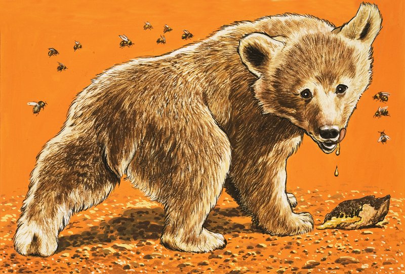 Braunbärenbaby von English School