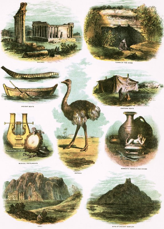 Biblische Illustrationen von English School