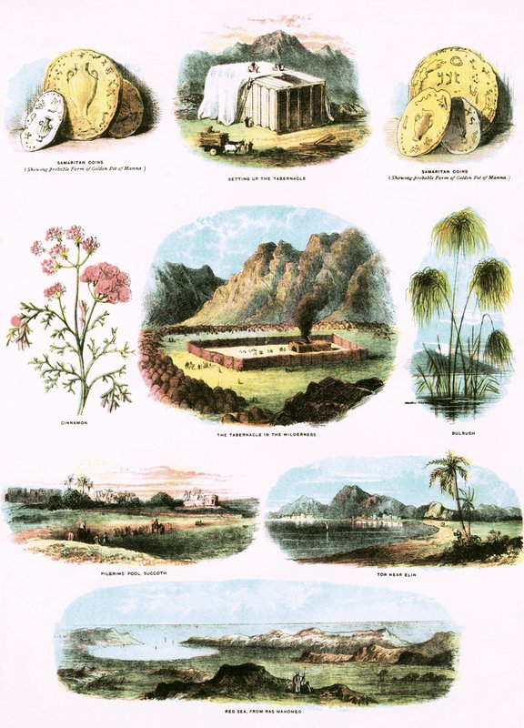 Biblische Illustrationen von English School