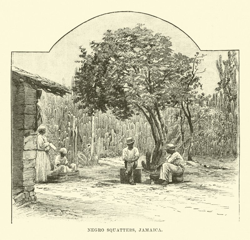 Schwarze Squatter, Jamaika von English School