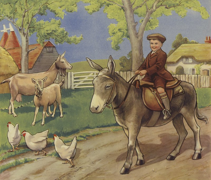 Junge reitet auf einem Esel in der englischen Landschaft von English School