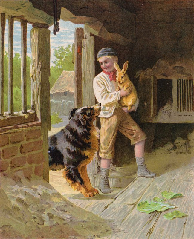 Junge mit einem Hund und einem Kaninchen auf einem Bauernhof von English School
