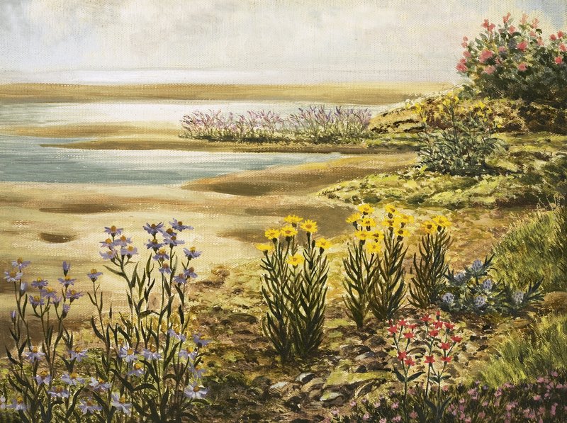 Britische Salzwiesenblumen von English School