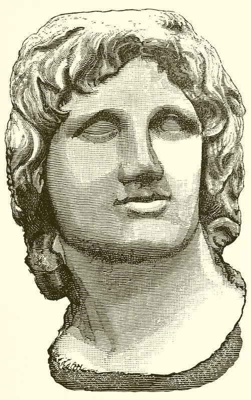 Büste von Alexander dem Großen von English School