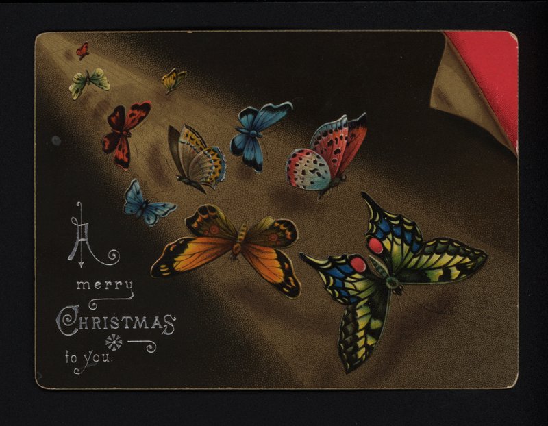Schmetterlinge, Weihnachtsgrußkarte, späte 19. oder frühe 20. Jahrhundert von English School