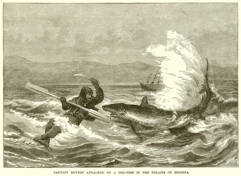 Captain Boyton von einem Hundsfisch in der Straße von Messina angegriffen von English School