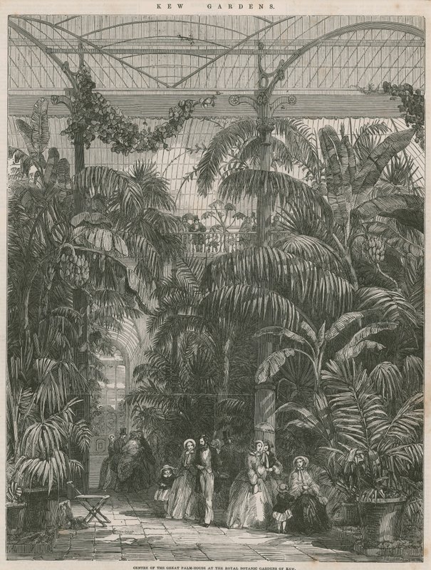 Zentrum des Großen Palmenhauses in den Königlichen Botanischen Gärten von Kew von English School