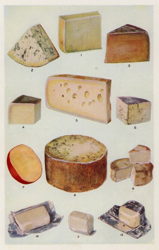 Cheddar; Gorgonzola; Double Gloster; Parmesan; Gruyere; Roquefort; Holländisch; Stilton; Camembert; St Ives; Sahne von English School