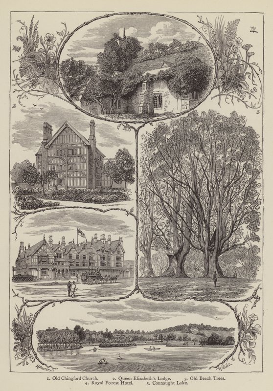 Chingford von English School