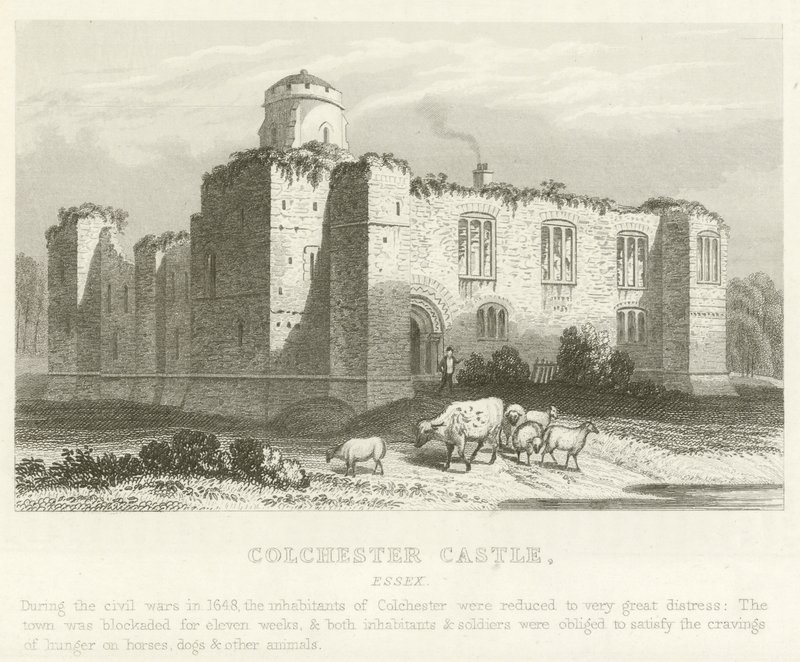 Colchester Schloss, Essex (Stich) von English School