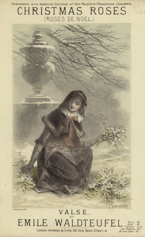 Cover von Weihnachtsrosen von English School