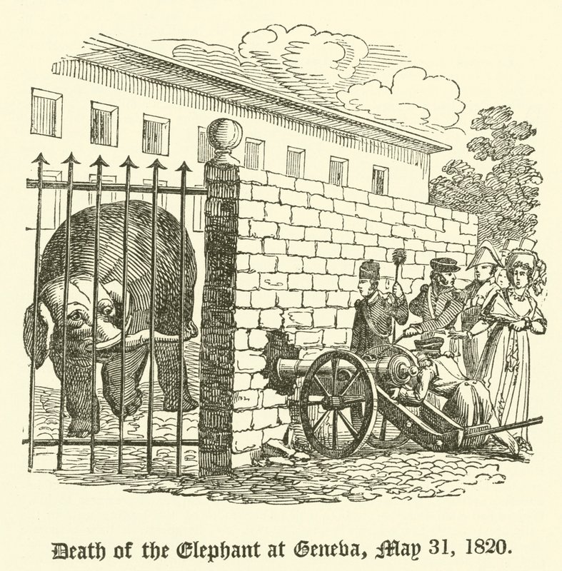 Tod des Elefanten in Genf, 31. Mai 1820 von English School