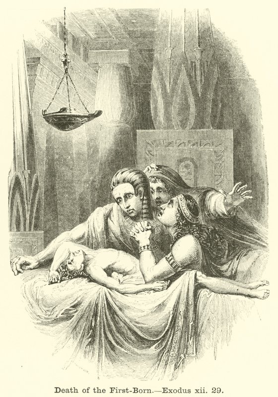 Tod der Erstgeborenen, Exodus, xii, 29 von English School