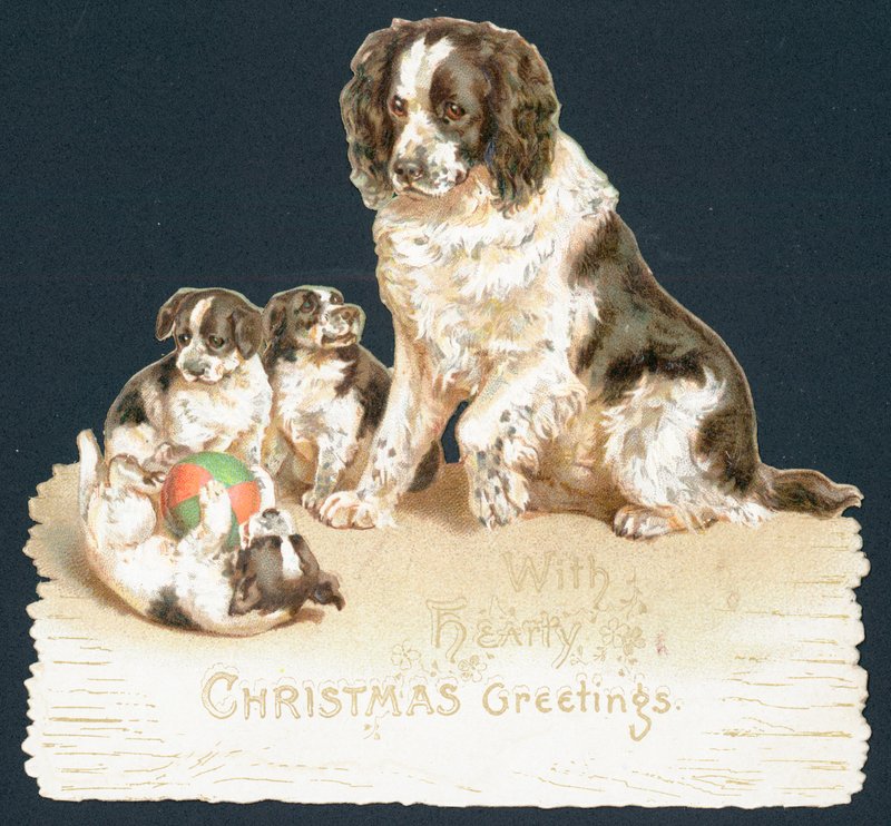Hund und Welpen, Weihnachtskarte von English School