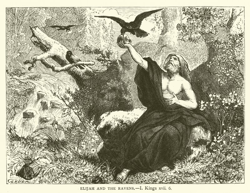 Elia und die Raben (I, Könige, xvii, 6) von English School