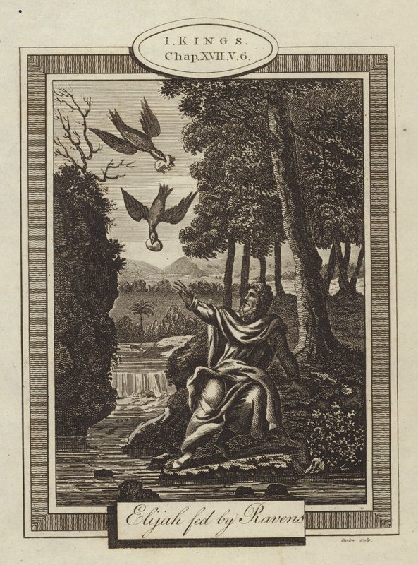 Elia von Raben gefüttert, 1. Könige, Kapitel XVII, Vers 6 von English School