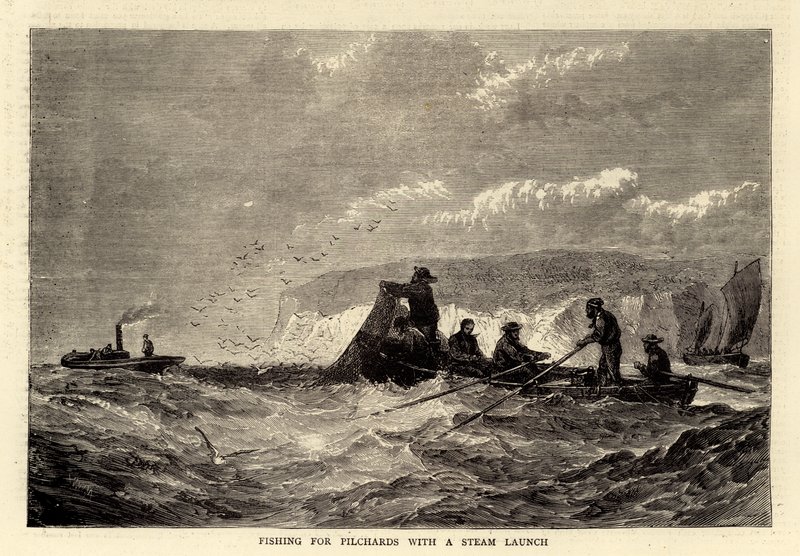 Fischen nach Sardinen mit einem Dampfschiff (Gravur) von English School