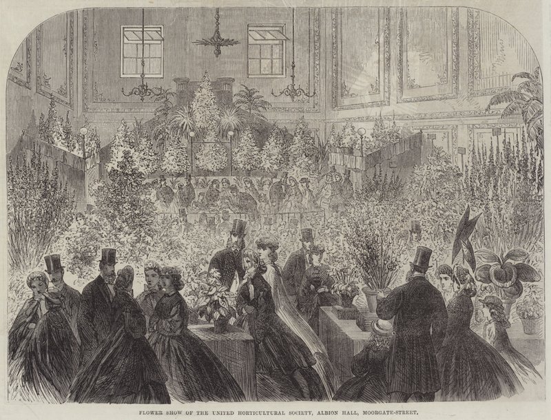 Blumenschau der United Horticultural Society, Albion Hall, Moorgate-Street von English School