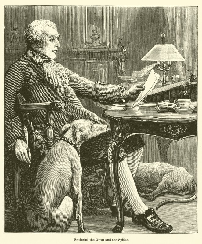 Friedrich der Große und die Spinne von English School