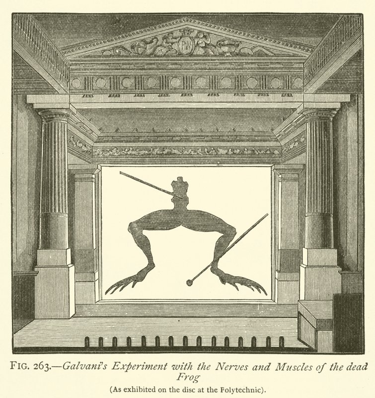 Galvanis Experiment mit den Nerven und Muskeln des toten Frosches (Stich) von English School