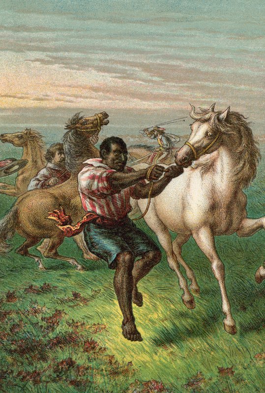 Garibaldis Truppen brechen wilde Pferde von English School