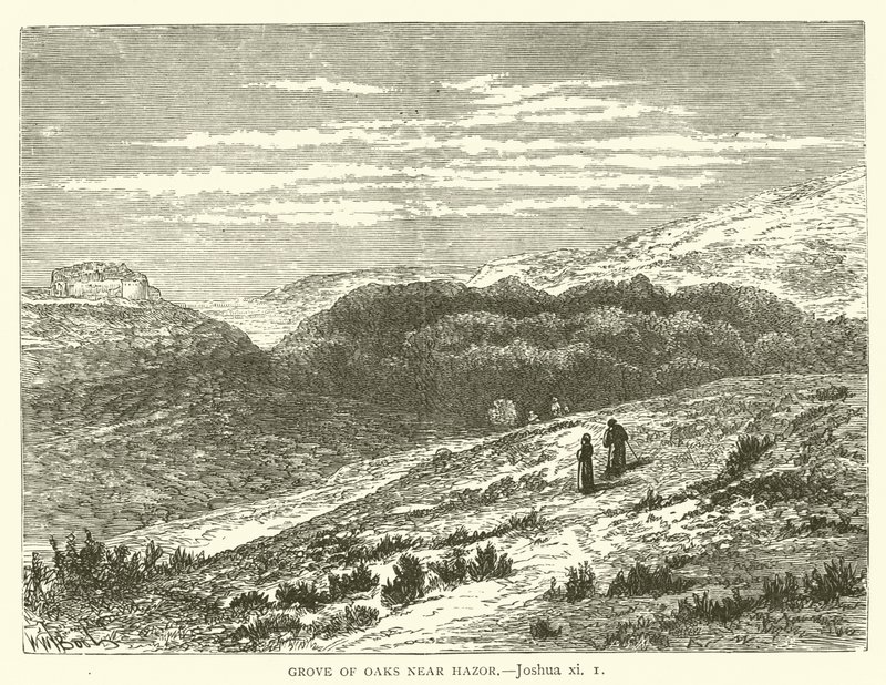 Hain von Eichen bei Hazor (Josua, xi) von English School