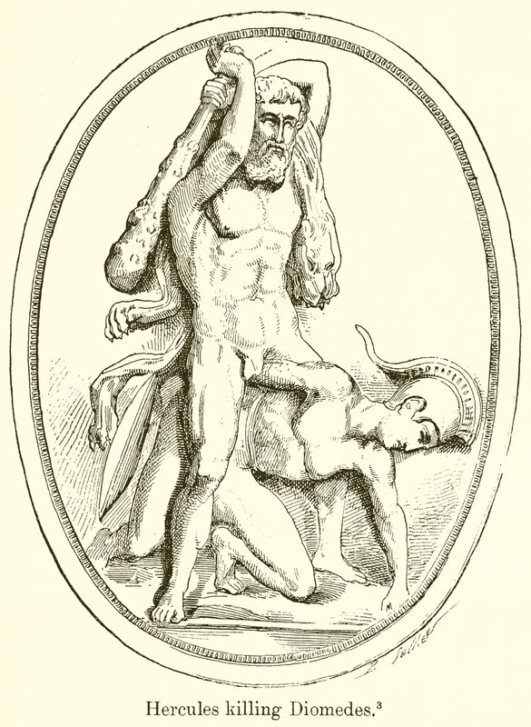 Herkules tötet Diomedes von English School