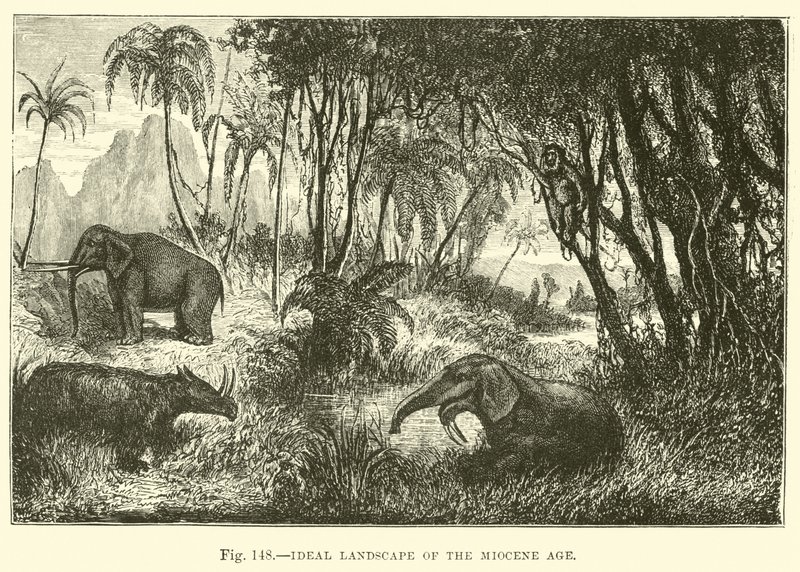 Ideale Landschaft des Miozän-Zeitalters von English School