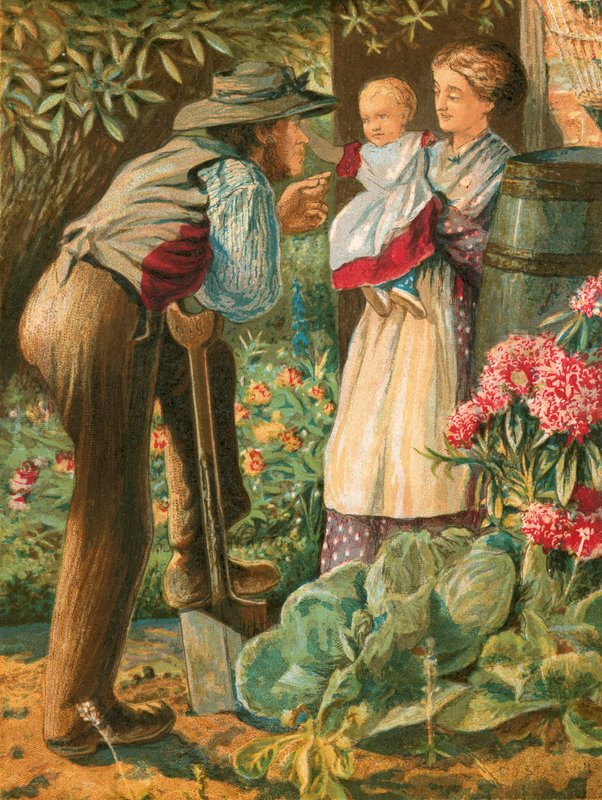 Illustration für Gray