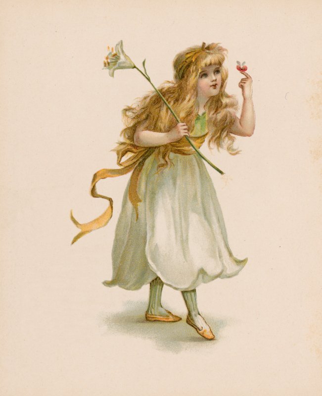 Illustration für Die Sprache der Blumen von English School
