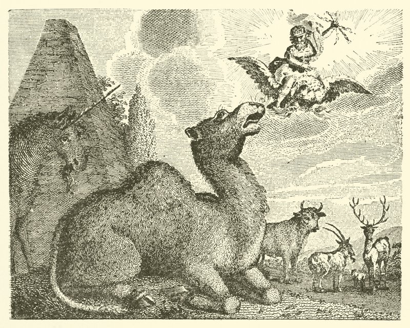Jupiter und das Kamel von English School