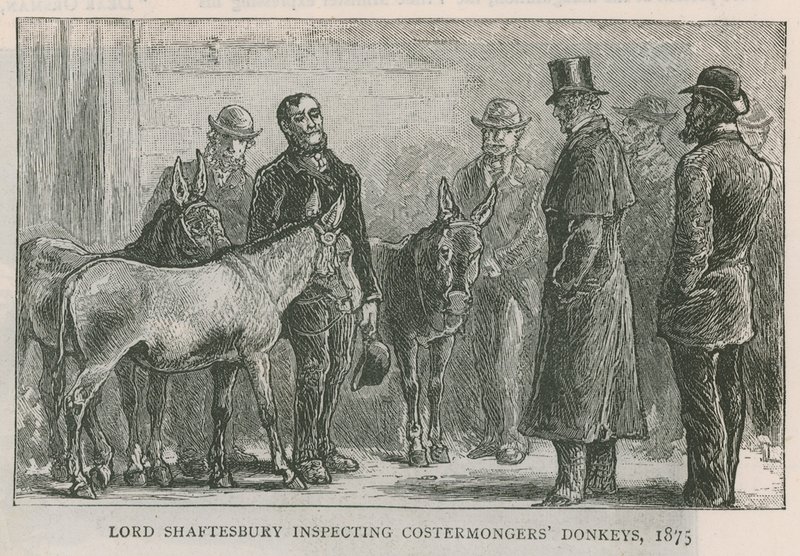 Lord Shaftesbury inspiziert die Esel der Straßenhändler von English School