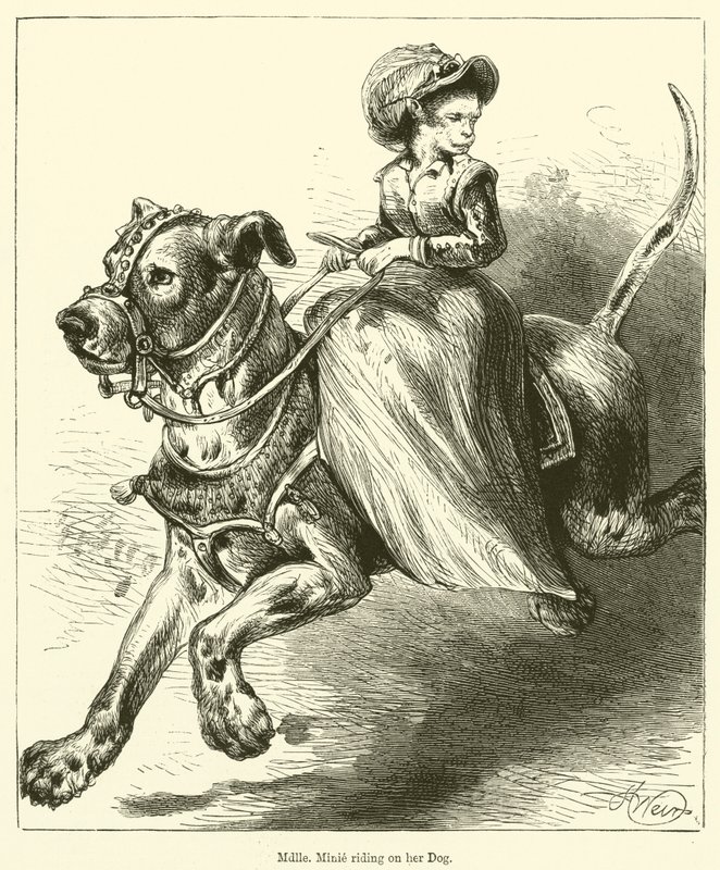 Mademoiselle Minie reitet auf ihrem Hund von English School