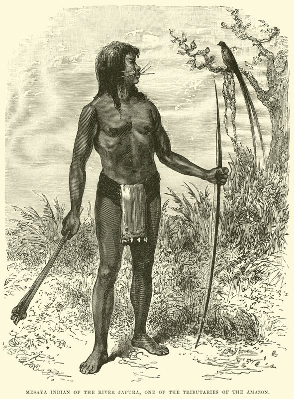 Mesaya-Indianer vom Fluss Japura, einem Nebenfluss des Amazonas von English School