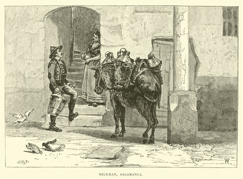 Milchmann, Salamanca von English School