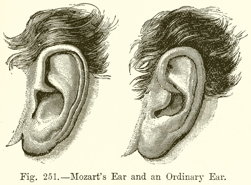 Mozarts Ohr und ein gewöhnliches Ohr von English School