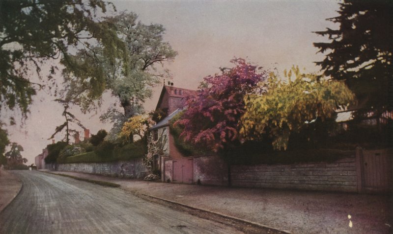 Die Schönheit der Natur in Farbe durch Fotografie enthüllt (farbiges Foto) von English School