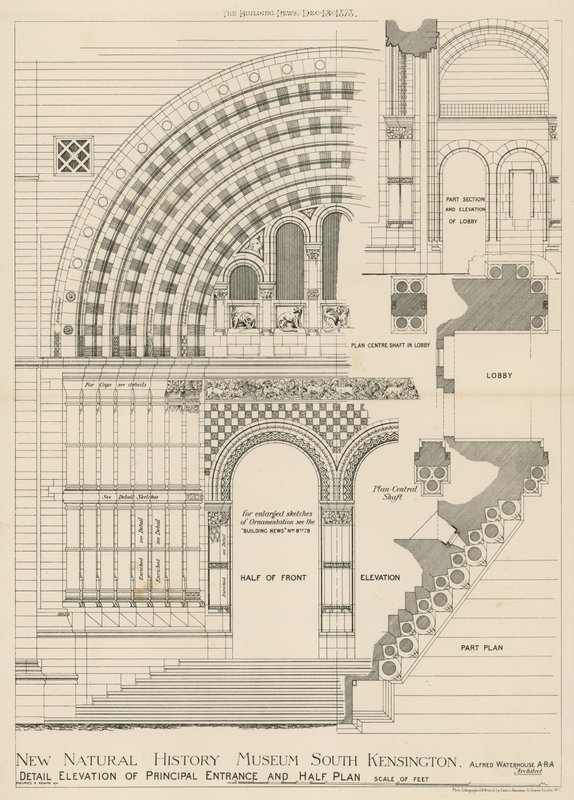 Neues Naturhistorisches Museum, South Kensington, London von English School