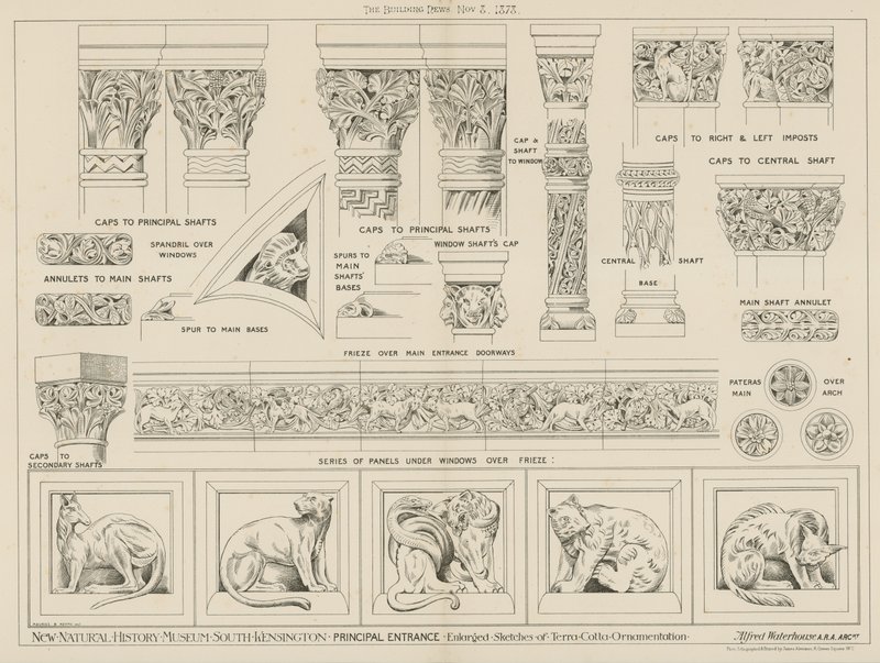 Neues Naturhistorisches Museum, South Kensington, London von English School